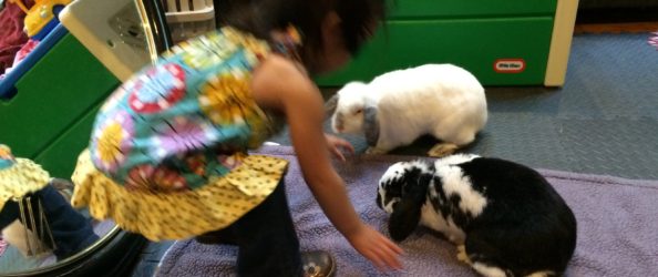 SlytherBun with Tessie and Oreo